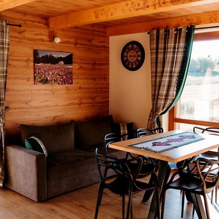 Osada Dursztyn- Przystanek Podhale Villa Bialka Tatrzanska Ngoại thất bức ảnh